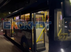 Мелитопольцы показали, как выглядят новые автобусы изнутри