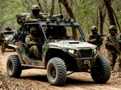 Потери ВСУ стали исчисляться взводами в Запорожской области