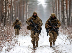 Стало известно о переброске спецназа ВСУ в Запорожскую область для провокаций