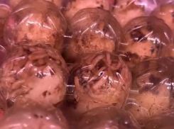 Яйца с червями на полках местного супермаркета возмутили мелитопольцев