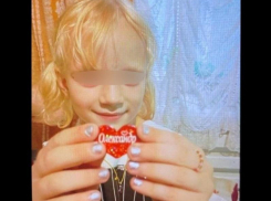 Тело пропавшей в Бердянске 7-летней девочки нашли в лесополосе 