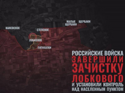 Лобковое освобождено, Каменскому – приготовиться: что происходит с запорожским фронтом прямо сейчас