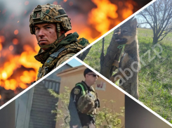 Новости Запорожья: бои на фронте, пасхальная мобилизация и убийство собаки