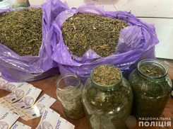 Запорожец попал под дело за хранение 5 килограмм травы в своём доме