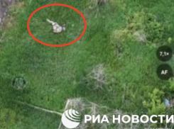 Солдаты ВСУ бросили умирать американского наёмника в Малых Щербаках в День Победы