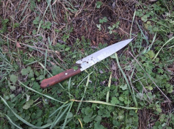 Житель Каменки-Днепровской признался, что распорол живот ножом своему другу