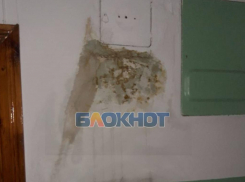 В Мелитополе УК годами не ремонтирует текущую крышу жилого дома