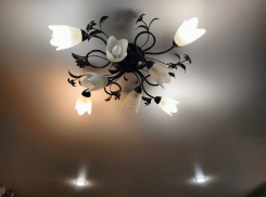 Балицкий: атака ВСУ оставила без света почти полторы тысячи жителей Каменки-Днепровской