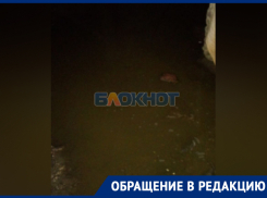 Говно-потоп в подвале полуразрушенного от удара ВСУ дома показала жительница Васильевки