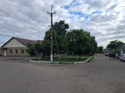 В Запорожской области наркоман насмерть сбил двухлетнюю девочку