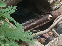 Жители Бердянска показали на видео место новой аварии на водопроводе