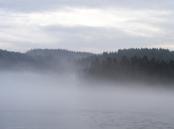 В Запорожской области объявили жёлтый уровень погодной опасности из-за тумана