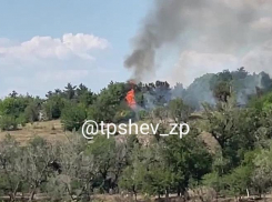 Крупный пожар в лесах Хортицы попал на видео 