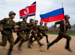 Северокорейских бойцов задействуют для полного освобождения Запорожья