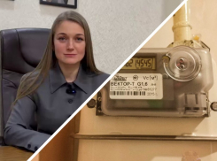 Романиченко попросила у Балицкого пересчитать плату за электричество в Днепрорудном и Балках 