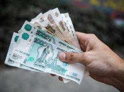 Михайловское сельхозпредприятие задолжало работникам почти 4 млн зарплаты