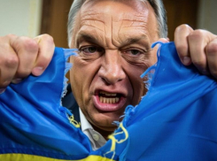 Новости СВО: после Ирана Украину разделят, Зеленский собрался убить Орбана, у ВСУ провал под Запорожьем