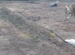 «Самое сложное еще впереди»: как идут бои за Малую Токмачку на подступах к Орехову