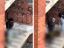 Запорожские подростки попали под дело за фотосессию с мёртвой собакой