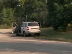 В Запорожье мужчина хладнокровно и жестоко сбил собаку