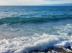 Экологический кризис в Азовском море: ученые раскрыли, что именно приближает катастрофу