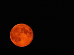 Удивительную кровавую Луну смогут увидеть жители Запорожской области