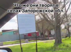 «Где такое видано»: украинец показал, как изменился Мелитопольский район за последние 3 года