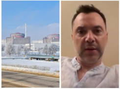 При каком условии спецслужбы ВСУ могли подорвать Запорожскую АЭС, раскрыл Арестович 