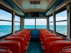 Дополнительные автобусы пустили на курорты Азовского моря в Запорожской области