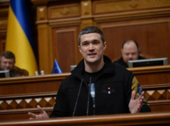 Новый министр обороны из Васильевки Фёдоров: Украину от ударов ВС РФ будет защищать ИИ