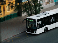 Власти Запорожской области продлили автобусный маршрут до Бердянской косы