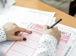 В Запорожской области в 2 раза увеличилось число школьников, сдавших ЕГЭ по информатике