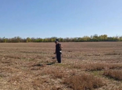 «Это большая загадка»: общественники ищут самолет Героя СССР Федора Бузикова в Запорожской области