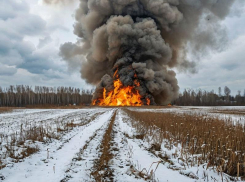 Боеприпасы контролируемо взорвали в Запорожской области