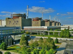 Стала известна реакция российского МИДа на требование МАГАТЭ отдать Запорожскую АЭС Украине