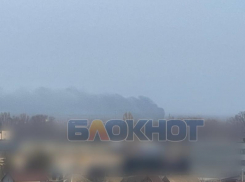 Более 200 м² сухой травы сгорело в Мелитополе и Токмаке из-за атаки дрона ВСУ