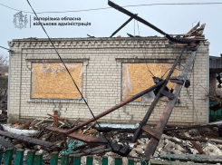 Запорожскую область обстреляли 341 раз за сутки
