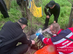 Больной маразмом запорожец почти неделю жил в лесу