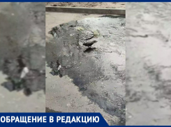 «Вонь невыносимая»: читательница «Блокнота» показала фекальный ручей в Мелитополе