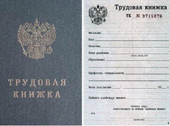 О важном требовании по оформлению российской трудовой книжки рассказали запорожцам 