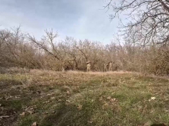 Сдача троих боевиков ВСУ в плен в Запорожской области попала на видео