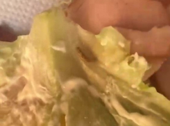 Круассан с опарышем купила в пекарне жительница Запорожья