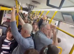 Запорожцы пожаловались на ужасную работу муниципального транспорта 
