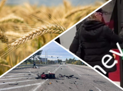 Новости Запорожья: «ведьма» прокляла пассажира автобуса, кровопролитная авария и опасная пшеница