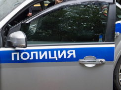 Дрон ВСУ ударил по полицейской машине в Каменке-Днепровской