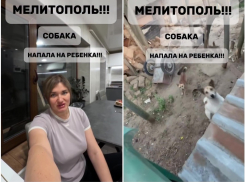 Следователи начали проверку после видео о нападении собаки на ребенка в Мелитополе