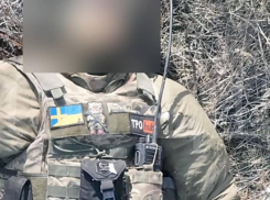 Кадры ликвидации шведского наёмника ВСУ попали в Сеть в Запорожье 