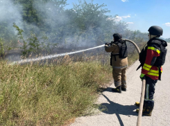 В Запорожской области выгорело почти 60 гектаров травы за сутки