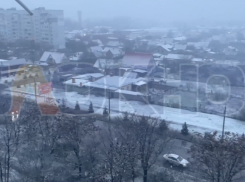 Первый снегопад накрыл всю Запорожскую область утром 10 декабря