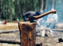 Житель запорожского посёлка зарубил отца топором и закопал тело в лесу